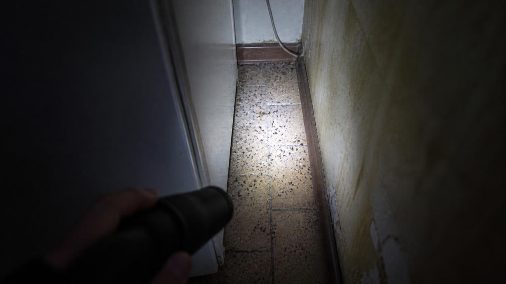 Karaczan prusak - https://www.deratyzacja-epak.pl - zwalczanie szczurów i myszy, zwalczanie much mrówek, oprysk na kleszcze i komary, zwalczanie pluskiew, dezynfekcja urzędów, dezynfekcja klimatyzacja, dezynfekcja i sprzątanie po zmarłych, gazowanie zbóż silosów magazynów, zamgławianie termiczne ulv, usuwanie roztoczy alergenów, ozonowanie mieszkań klimatyzacji, usuwanie grzybów pleśni bakterii, wdrożenie haccp punkty krytyczne, audyt biologa terenowego brc, dokumentacja haccp ghp gmp, szkolenia dla pracowników ifs haccp, sprzątanie poddaszy strychów piwnic, usuwanie odchodów gołębi i innych ptaków, sprzątanie i odkażanie po zgonach, zwalczanie roztoczy i ich alergenów, odgrzybianie, likwidacja pleśni grzybów alergenów, izolacja pozioma przy zawilgoceniu murów piwnic, osuszanie budynków i mieszkań, usuwanie wilgoci, badania laboratoryjne pleśni grzybów, pobieranie próbek z powietrza i różnych innych powierzchni Karaczan prusak - zwalczanie szczurów i myszy, zwalczanie much mrówek, oprysk na kleszcze i komary, zwalczanie pluskiew, dezynfekcja urzędów, dezynfekcja klimatyzacja, dezynfekcja i sprzątanie po zmarłych, gazowanie zbóż silosów magazynów, zamgławianie termiczne ulv, usuwanie roztoczy alergenów, ozonowanie mieszkań klimatyzacji, usuwanie grzybów pleśni bakterii, wdrożenie haccp punkty krytyczne, audyt biologa terenowego brc, dokumentacja haccp ghp gmp, szkolenia dla pracowników ifs haccp, sprzątanie poddaszy strychów piwnic, usuwanie odchodów gołębi i innych ptaków, sprzątanie i odkażanie po zgonach, zwalczanie roztoczy i ich alergenów, odgrzybianie, likwidacja pleśni grzybów alergenów, izolacja pozioma przy zawilgoceniu murów piwnic, osuszanie budynków i mieszkań, usuwanie wilgoci, badania laboratoryjne pleśni grzybów, pobieranie próbek z powietrza i różnych innych powierzchni