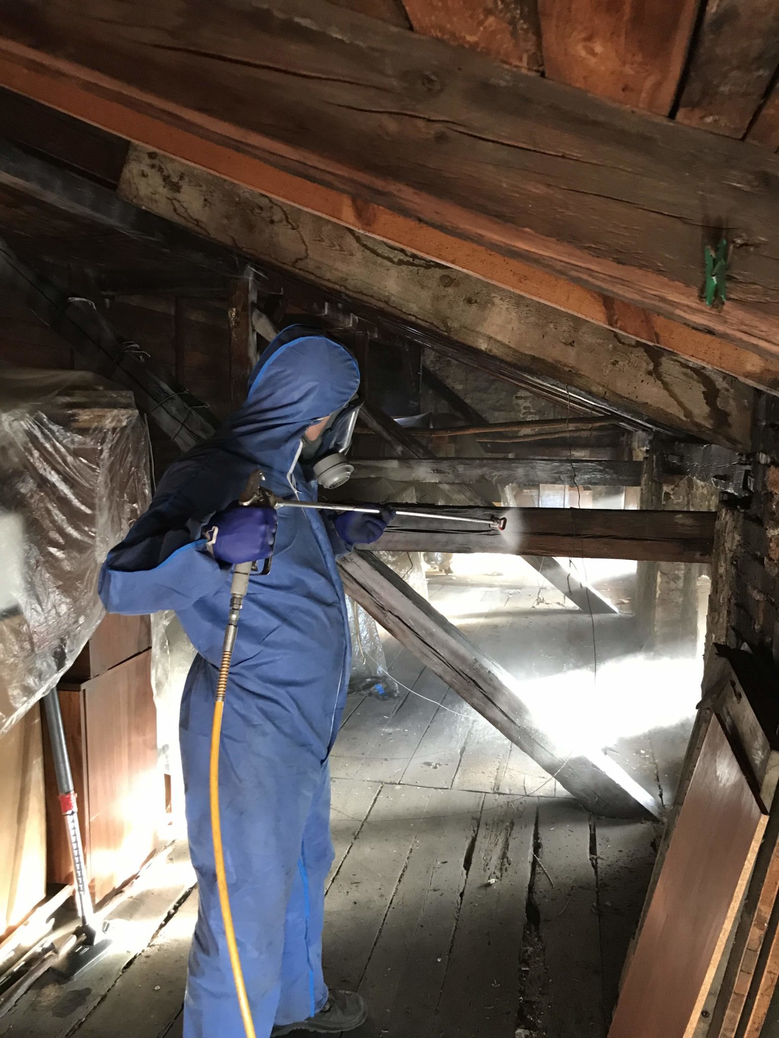 Zwalczanie szkodników drewna - https://www.deratyzacja-epak.pl - zwalczanie szczurów i myszy, zwalczanie much mrówek, oprysk na kleszcze i komary, zwalczanie pluskiew, dezynfekcja urzędów, dezynfekcja klimatyzacja, dezynfekcja i sprzątanie po zmarłych, gazowanie zbóż silosów magazynów, zamgławianie termiczne ulv, usuwanie roztoczy alergenów, ozonowanie mieszkań klimatyzacji, usuwanie grzybów pleśni bakterii, wdrożenie haccp punkty krytyczne, audyt biologa terenowego brc, dokumentacja haccp ghp gmp, szkolenia dla pracowników ifs haccp, sprzątanie poddaszy strychów piwnic, usuwanie odchodów gołębi i innych ptaków, sprzątanie i odkażanie po zgonach, zwalczanie roztoczy i ich alergenów, odgrzybianie, likwidacja pleśni grzybów alergenów, izolacja pozioma przy zawilgoceniu murów piwnic, osuszanie budynków i mieszkań, usuwanie wilgoci, badania laboratoryjne pleśni grzybów, pobieranie próbek z powietrza i różnych innych powierzchni Zwalczanie szkodników drewna - zwalczanie szczurów i myszy, zwalczanie much mrówek, oprysk na kleszcze i komary, zwalczanie pluskiew, dezynfekcja urzędów, dezynfekcja klimatyzacja, dezynfekcja i sprzątanie po zmarłych, gazowanie zbóż silosów magazynów, zamgławianie termiczne ulv, usuwanie roztoczy alergenów, ozonowanie mieszkań klimatyzacji, usuwanie grzybów pleśni bakterii, wdrożenie haccp punkty krytyczne, audyt biologa terenowego brc, dokumentacja haccp ghp gmp, szkolenia dla pracowników ifs haccp, sprzątanie poddaszy strychów piwnic, usuwanie odchodów gołębi i innych ptaków, sprzątanie i odkażanie po zgonach, zwalczanie roztoczy i ich alergenów, odgrzybianie, likwidacja pleśni grzybów alergenów, izolacja pozioma przy zawilgoceniu murów piwnic, osuszanie budynków i mieszkań, usuwanie wilgoci, badania laboratoryjne pleśni grzybów, pobieranie próbek z powietrza i różnych innych powierzchni