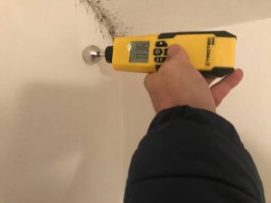 Usuwanie pleśni, grzybów, roztoczy, alergenów, wirusów - https://www.deratyzacja-epak.pl - zwalczanie szczurów i myszy, zwalczanie much mrówek, oprysk na kleszcze i komary, zwalczanie pluskiew, dezynfekcja urzędów, dezynfekcja klimatyzacja, dezynfekcja i sprzątanie po zmarłych, gazowanie zbóż silosów magazynów, zamgławianie termiczne ulv, usuwanie roztoczy alergenów, ozonowanie mieszkań klimatyzacji, usuwanie grzybów pleśni bakterii, wdrożenie haccp punkty krytyczne, audyt biologa terenowego brc, dokumentacja haccp ghp gmp, szkolenia dla pracowników ifs haccp, sprzątanie poddaszy strychów piwnic, usuwanie odchodów gołębi i innych ptaków, sprzątanie i odkażanie po zgonach, zwalczanie roztoczy i ich alergenów, odgrzybianie, likwidacja pleśni grzybów alergenów, izolacja pozioma przy zawilgoceniu murów piwnic, osuszanie budynków i mieszkań, usuwanie wilgoci, badania laboratoryjne pleśni grzybów, pobieranie próbek z powietrza i różnych innych powierzchni Usuwanie pleśni, grzybów, roztoczy, alergenów, wirusów - zwalczanie szczurów i myszy, zwalczanie much mrówek, oprysk na kleszcze i komary, zwalczanie pluskiew, dezynfekcja urzędów, dezynfekcja klimatyzacja, dezynfekcja i sprzątanie po zmarłych, gazowanie zbóż silosów magazynów, zamgławianie termiczne ulv, usuwanie roztoczy alergenów, ozonowanie mieszkań klimatyzacji, usuwanie grzybów pleśni bakterii, wdrożenie haccp punkty krytyczne, audyt biologa terenowego brc, dokumentacja haccp ghp gmp, szkolenia dla pracowników ifs haccp, sprzątanie poddaszy strychów piwnic, usuwanie odchodów gołębi i innych ptaków, sprzątanie i odkażanie po zgonach, zwalczanie roztoczy i ich alergenów, odgrzybianie, likwidacja pleśni grzybów alergenów, izolacja pozioma przy zawilgoceniu murów piwnic, osuszanie budynków i mieszkań, usuwanie wilgoci, badania laboratoryjne pleśni grzybów, pobieranie próbek z powietrza i różnych innych powierzchni