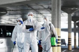 Specjalistyczne usługi DDD w branży hotelarskiej