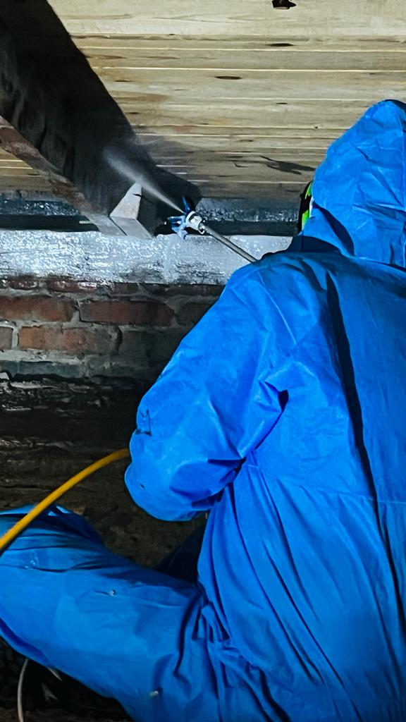 Jak usunąć korniki i szkodniki drewna? Skuteczne metody zwalczania i oferta EPAK - https://www.deratyzacja-epak.pl - zwalczanie szczurów i myszy, zwalczanie much mrówek, oprysk na kleszcze i komary, zwalczanie pluskiew, dezynfekcja urzędów, dezynfekcja klimatyzacja, dezynfekcja i sprzątanie po zmarłych, gazowanie zbóż silosów magazynów, zamgławianie termiczne ulv, usuwanie roztoczy alergenów, ozonowanie mieszkań klimatyzacji, usuwanie grzybów pleśni bakterii, wdrożenie haccp punkty krytyczne, audyt biologa terenowego brc, dokumentacja haccp ghp gmp, szkolenia dla pracowników ifs haccp, sprzątanie poddaszy strychów piwnic, usuwanie odchodów gołębi i innych ptaków, sprzątanie i odkażanie po zgonach, zwalczanie roztoczy i ich alergenów, odgrzybianie, likwidacja pleśni grzybów alergenów, izolacja pozioma przy zawilgoceniu murów piwnic, osuszanie budynków i mieszkań, usuwanie wilgoci, badania laboratoryjne pleśni grzybów, pobieranie próbek z powietrza i różnych innych powierzchni Jak usunąć korniki i szkodniki drewna? Skuteczne metody zwalczania i oferta EPAK - zwalczanie szczurów i myszy, zwalczanie much mrówek, oprysk na kleszcze i komary, zwalczanie pluskiew, dezynfekcja urzędów, dezynfekcja klimatyzacja, dezynfekcja i sprzątanie po zmarłych, gazowanie zbóż silosów magazynów, zamgławianie termiczne ulv, usuwanie roztoczy alergenów, ozonowanie mieszkań klimatyzacji, usuwanie grzybów pleśni bakterii, wdrożenie haccp punkty krytyczne, audyt biologa terenowego brc, dokumentacja haccp ghp gmp, szkolenia dla pracowników ifs haccp, sprzątanie poddaszy strychów piwnic, usuwanie odchodów gołębi i innych ptaków, sprzątanie i odkażanie po zgonach, zwalczanie roztoczy i ich alergenów, odgrzybianie, likwidacja pleśni grzybów alergenów, izolacja pozioma przy zawilgoceniu murów piwnic, osuszanie budynków i mieszkań, usuwanie wilgoci, badania laboratoryjne pleśni grzybów, pobieranie próbek z powietrza i różnych innych powierzchni