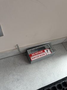 Deratyzacja - zwalczanie gryzoni - https://www.deratyzacja-epak.pl - zwalczanie szczurów i myszy, zwalczanie much mrówek, oprysk na kleszcze i komary, zwalczanie pluskiew, dezynfekcja urzędów, dezynfekcja klimatyzacja, dezynfekcja i sprzątanie po zmarłych, gazowanie zbóż silosów magazynów, zamgławianie termiczne ulv, usuwanie roztoczy alergenów, ozonowanie mieszkań klimatyzacji, usuwanie grzybów pleśni bakterii, wdrożenie haccp punkty krytyczne, audyt biologa terenowego brc, dokumentacja haccp ghp gmp, szkolenia dla pracowników ifs haccp, sprzątanie poddaszy strychów piwnic, usuwanie odchodów gołębi i innych ptaków, sprzątanie i odkażanie po zgonach, zwalczanie roztoczy i ich alergenów, odgrzybianie, likwidacja pleśni grzybów alergenów, izolacja pozioma przy zawilgoceniu murów piwnic, osuszanie budynków i mieszkań, usuwanie wilgoci, badania laboratoryjne pleśni grzybów, pobieranie próbek z powietrza i różnych innych powierzchni Deratyzacja - zwalczanie gryzoni - zwalczanie szczurów i myszy, zwalczanie much mrówek, oprysk na kleszcze i komary, zwalczanie pluskiew, dezynfekcja urzędów, dezynfekcja klimatyzacja, dezynfekcja i sprzątanie po zmarłych, gazowanie zbóż silosów magazynów, zamgławianie termiczne ulv, usuwanie roztoczy alergenów, ozonowanie mieszkań klimatyzacji, usuwanie grzybów pleśni bakterii, wdrożenie haccp punkty krytyczne, audyt biologa terenowego brc, dokumentacja haccp ghp gmp, szkolenia dla pracowników ifs haccp, sprzątanie poddaszy strychów piwnic, usuwanie odchodów gołębi i innych ptaków, sprzątanie i odkażanie po zgonach, zwalczanie roztoczy i ich alergenów, odgrzybianie, likwidacja pleśni grzybów alergenów, izolacja pozioma przy zawilgoceniu murów piwnic, osuszanie budynków i mieszkań, usuwanie wilgoci, badania laboratoryjne pleśni grzybów, pobieranie próbek z powietrza i różnych innych powierzchni