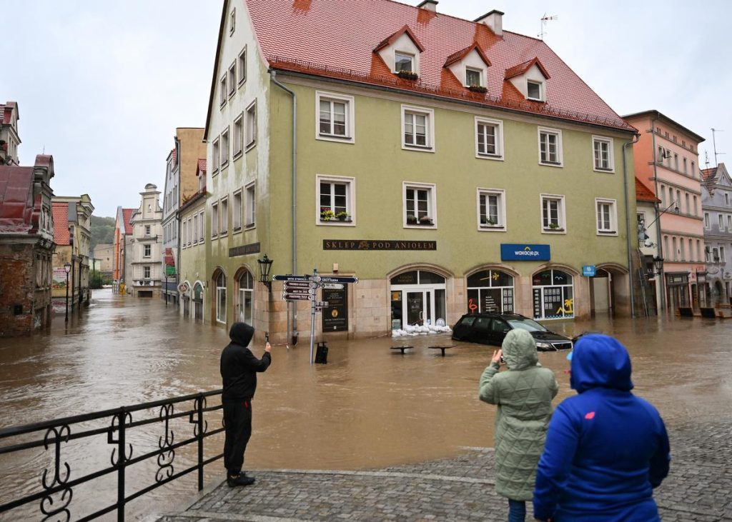 Zagrożenia biologiczne po zalaniu budynku, mieszkania - zwalczanie szczur&oacute;w i myszy, zwalczanie much mr&oacute;wek, oprysk na kleszcze i komary, zwalczanie pluskiew, dezynfekcja urzęd&oacute;w, dezynfekcja klimatyzacja, dezynfekcja i sprzątanie po zmarłych, gazowanie zb&oacute;ż silos&oacute;w magazyn&oacute;w, zamgławianie termiczne ulv, usuwanie roztoczy alergen&oacute;w, ozonowanie mieszkań klimatyzacji, usuwanie grzyb&oacute;w pleśni bakterii, wdrożenie haccp punkty krytyczne, audyt biologa terenowego brc, dokumentacja haccp ghp gmp, szkolenia dla pracownik&oacute;w ifs haccp, sprzątanie poddaszy strych&oacute;w piwnic, usuwanie odchod&oacute;w gołębi i innych ptak&oacute;w, sprzątanie i odkażanie po zgonach, zwalczanie roztoczy i ich alergen&oacute;w, odgrzybianie, likwidacja pleśni grzyb&oacute;w alergen&oacute;w, izolacja pozioma przy zawilgoceniu mur&oacute;w piwnic, osuszanie budynk&oacute;w i mieszkań, usuwanie wilgoci, badania laboratoryjne pleśni grzyb&oacute;w, pobieranie pr&oacute;bek z powietrza i r&oacute;żnych innych powierzchni