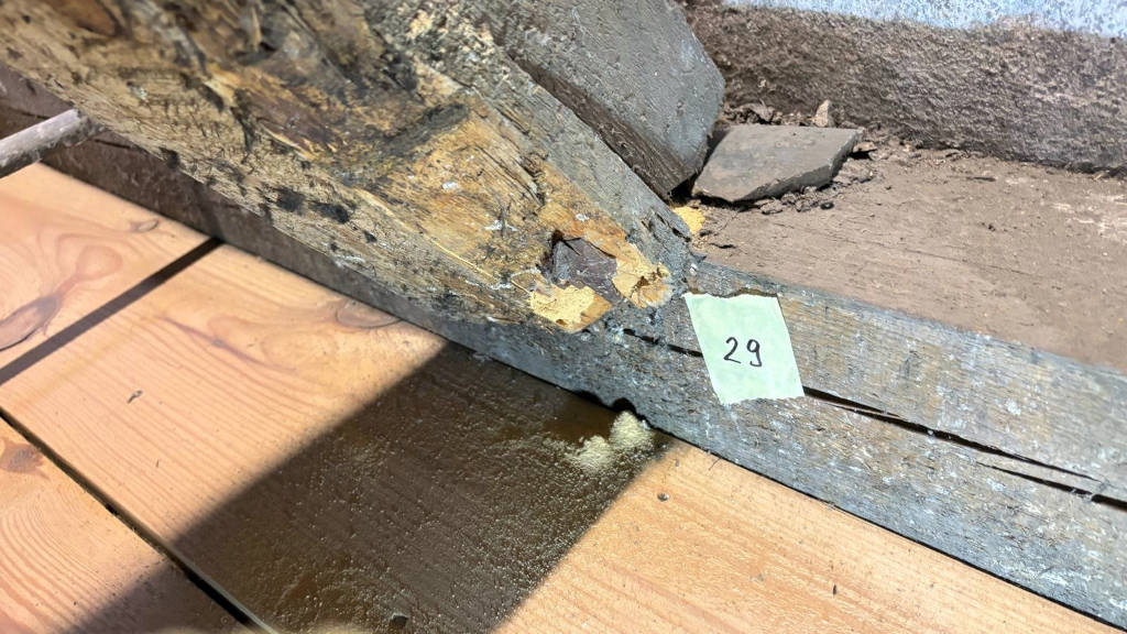 Jak usunąć korniki i szkodniki drewna? Skuteczne metody zwalczania i oferta EPAK - https://www.deratyzacja-epak.pl - zwalczanie szczurów i myszy, zwalczanie much mrówek, oprysk na kleszcze i komary, zwalczanie pluskiew, dezynfekcja urzędów, dezynfekcja klimatyzacja, dezynfekcja i sprzątanie po zmarłych, gazowanie zbóż silosów magazynów, zamgławianie termiczne ulv, usuwanie roztoczy alergenów, ozonowanie mieszkań klimatyzacji, usuwanie grzybów pleśni bakterii, wdrożenie haccp punkty krytyczne, audyt biologa terenowego brc, dokumentacja haccp ghp gmp, szkolenia dla pracowników ifs haccp, sprzątanie poddaszy strychów piwnic, usuwanie odchodów gołębi i innych ptaków, sprzątanie i odkażanie po zgonach, zwalczanie roztoczy i ich alergenów, odgrzybianie, likwidacja pleśni grzybów alergenów, izolacja pozioma przy zawilgoceniu murów piwnic, osuszanie budynków i mieszkań, usuwanie wilgoci, badania laboratoryjne pleśni grzybów, pobieranie próbek z powietrza i różnych innych powierzchni Jak usunąć korniki i szkodniki drewna? Skuteczne metody zwalczania i oferta EPAK - zwalczanie szczurów i myszy, zwalczanie much mrówek, oprysk na kleszcze i komary, zwalczanie pluskiew, dezynfekcja urzędów, dezynfekcja klimatyzacja, dezynfekcja i sprzątanie po zmarłych, gazowanie zbóż silosów magazynów, zamgławianie termiczne ulv, usuwanie roztoczy alergenów, ozonowanie mieszkań klimatyzacji, usuwanie grzybów pleśni bakterii, wdrożenie haccp punkty krytyczne, audyt biologa terenowego brc, dokumentacja haccp ghp gmp, szkolenia dla pracowników ifs haccp, sprzątanie poddaszy strychów piwnic, usuwanie odchodów gołębi i innych ptaków, sprzątanie i odkażanie po zgonach, zwalczanie roztoczy i ich alergenów, odgrzybianie, likwidacja pleśni grzybów alergenów, izolacja pozioma przy zawilgoceniu murów piwnic, osuszanie budynków i mieszkań, usuwanie wilgoci, badania laboratoryjne pleśni grzybów, pobieranie próbek z powietrza i różnych innych powierzchni